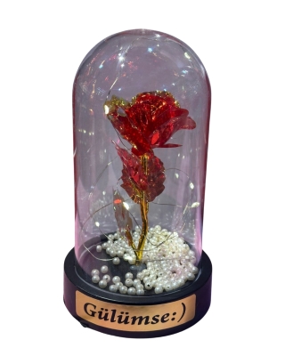 Aşkınızın Işığı Evinizi Aydınlatsın: Sevgililer Günü Özel Teraryum