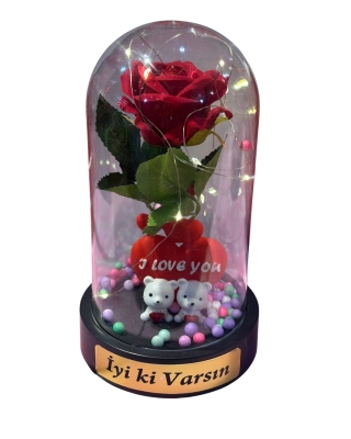 Aşkınızın Işığı Evinizi Aydınlatsın: Sevgililer Günü Özel Teraryum 