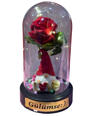 Aşkınızın Işığı Evinizi Aydınlatsın: Sevgililer Günü Özel Teraryum 