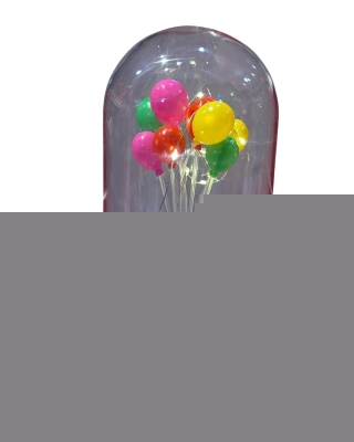 Aşkınızın Işığı Evinizi Aydınlatsın: Sevgililer Günü Özel Teraryum 