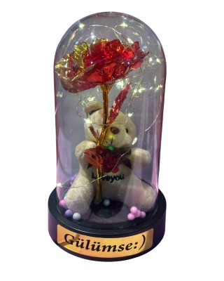 Aşkınızın Işığı Evinizi Aydınlatsın: Sevgililer Günü Özel Teraryum 