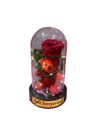 Aşkınızın Işığı Evinizi Aydınlatsın: Sevgililer Günü Özel Teraryum